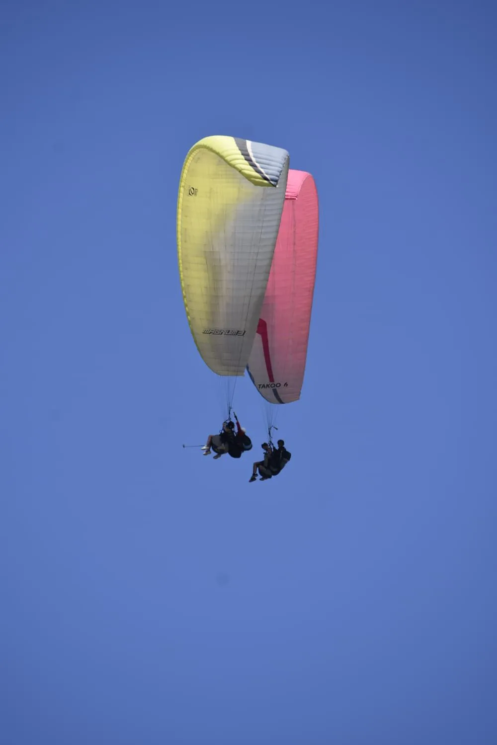 Image from Paragliding as a Couple in Lanzarote | Fly Together
