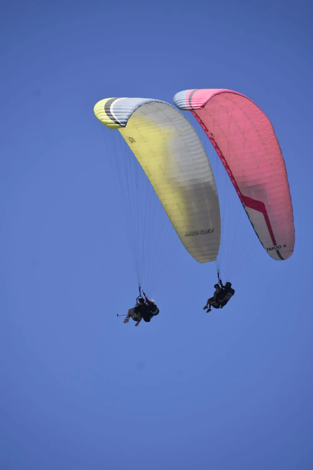 Image from Paragliding as a Couple in Lanzarote | Fly Together
